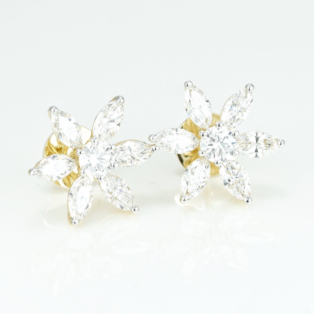 Earrings - 14 kt. Yellow gold - 4.76ct. tw. Diamond (Lab-grown)