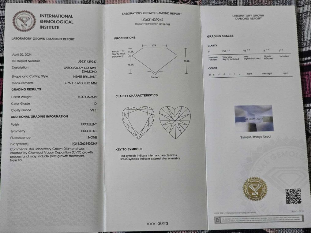 Earrings Platinum - 4.01ct. tw. Diamond (Lab-grown) - DVS1,Exact Matching Pair