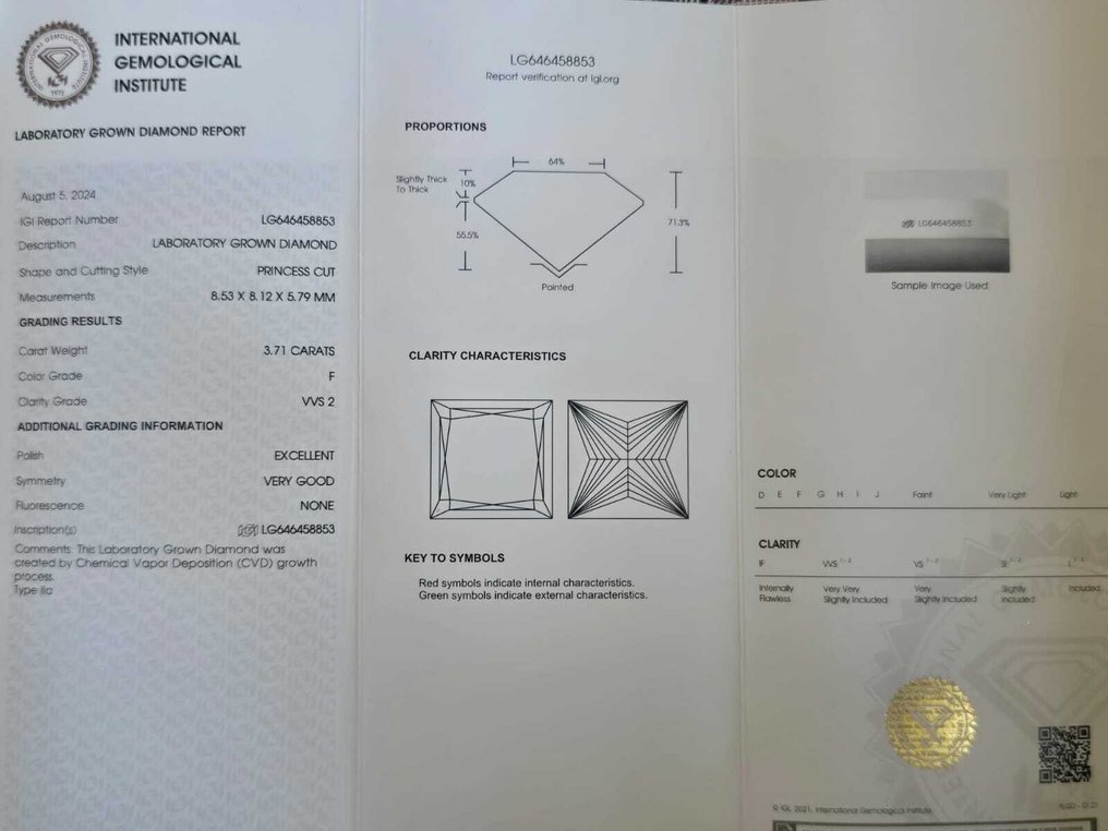 Ring Platinum - 4.01ct. tw. Diamond (Lab-grown) - Diamond - F,VVS2