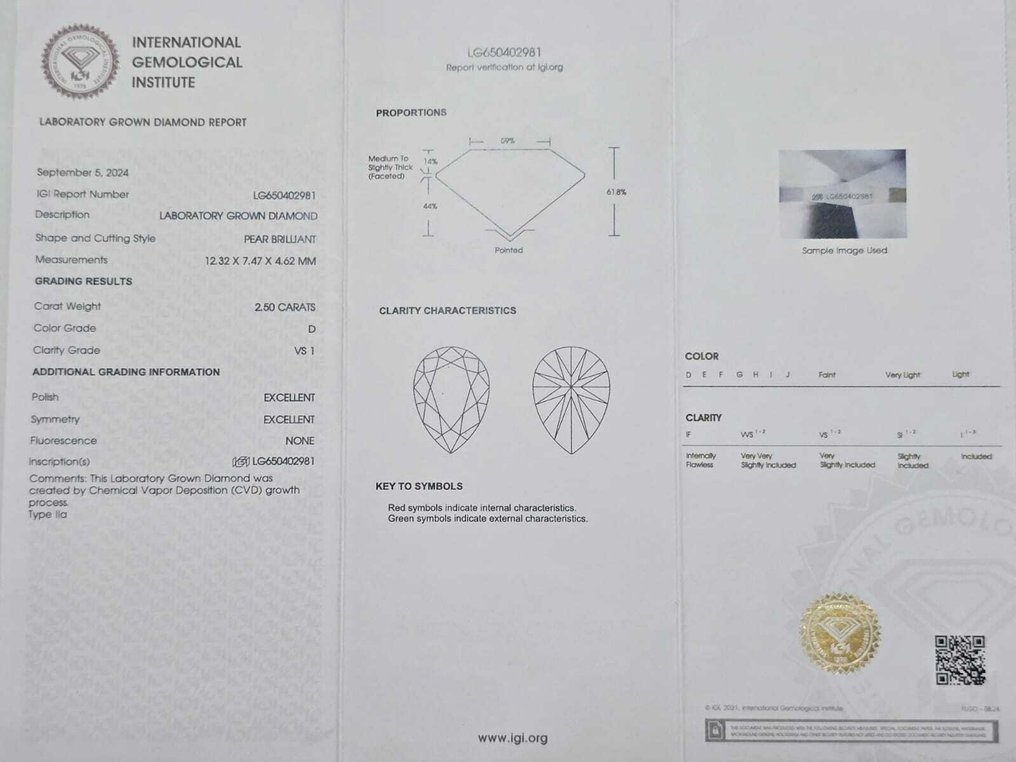 Earrings - 14 kt. White gold - 9.91ct. tw. Diamond (Lab-grown)